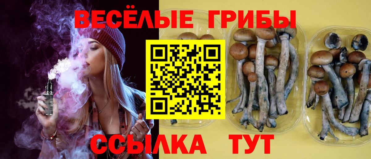 Псилоцибиновые грибы MAGIC MUSHROOMS  даркнет сайт  Вход с VPN  Волжск  Псилоцибиновые грибы GOLDEN TEACHER 